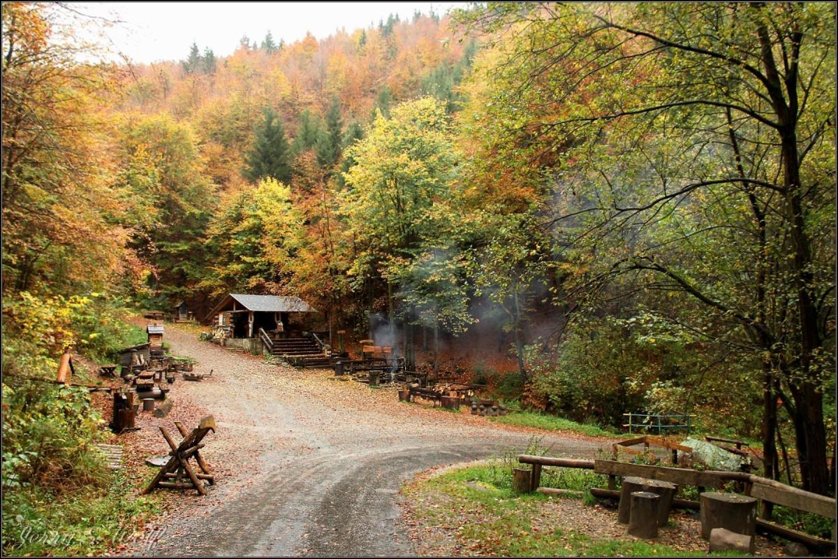 Pod Kralickym Sneznikem